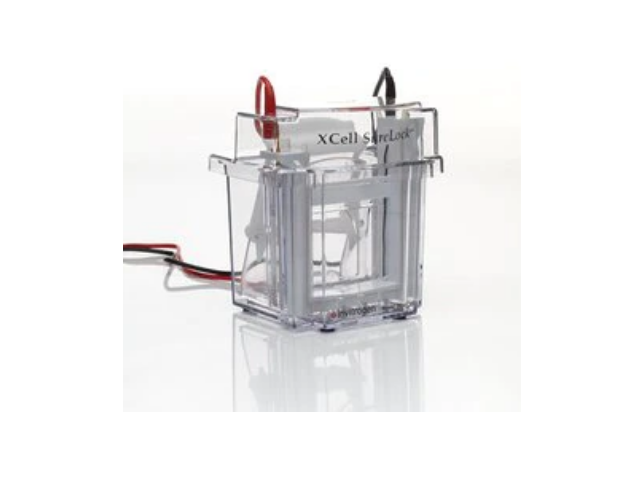 Электрофорезная вертикальная камера THERMO FISHER SCIENTIFIC XCell SureLock Mini-Cell