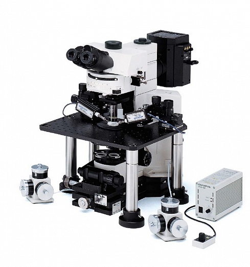 Прямой микроскоп OLYMPUS BX61WI